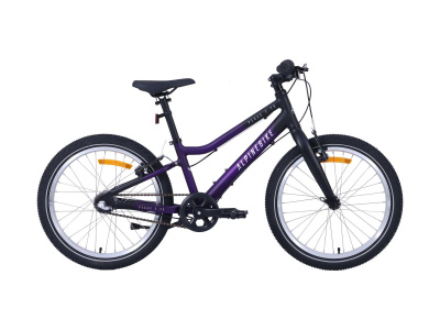 Велосипед Alpinebike 2025 Pegas 3-20 фиолетовый космос