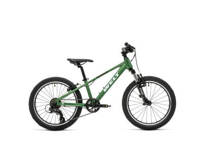Велосипед Welt Brave 1.0 20 VB Calm Green