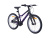 Велосипед Alpinebike 2025 Pegas 3-20 фиолетовый космос Велосипед Alpinebike 2025 Pegas 3-20 фиолетовый космос