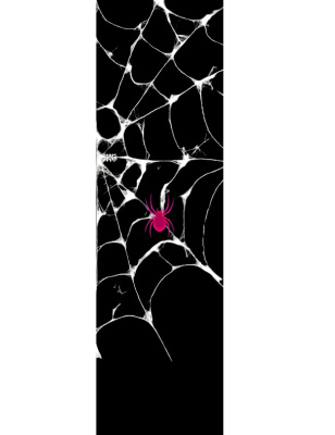 Шкурка Shkura prod Pink Spider Шкурка Shkura prod Pink Spider