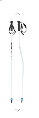 Палки горнолыжные Head World Cup Sg Jr Bent white/black/speed blue