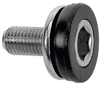 54 54